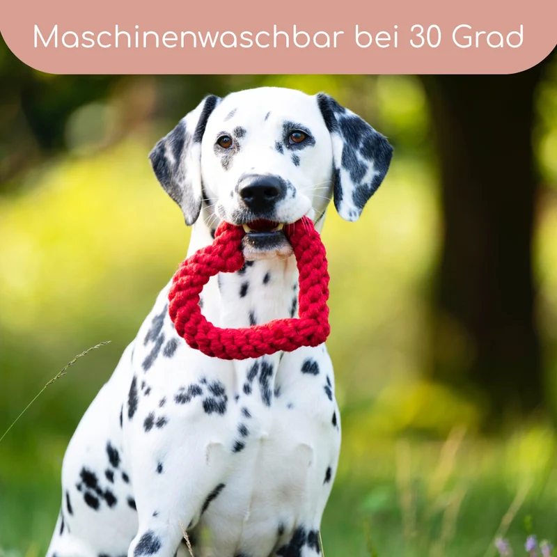LABONI Heart ❤️ – Handgeknüpftes Hundespielzeug aus Baumwolle
