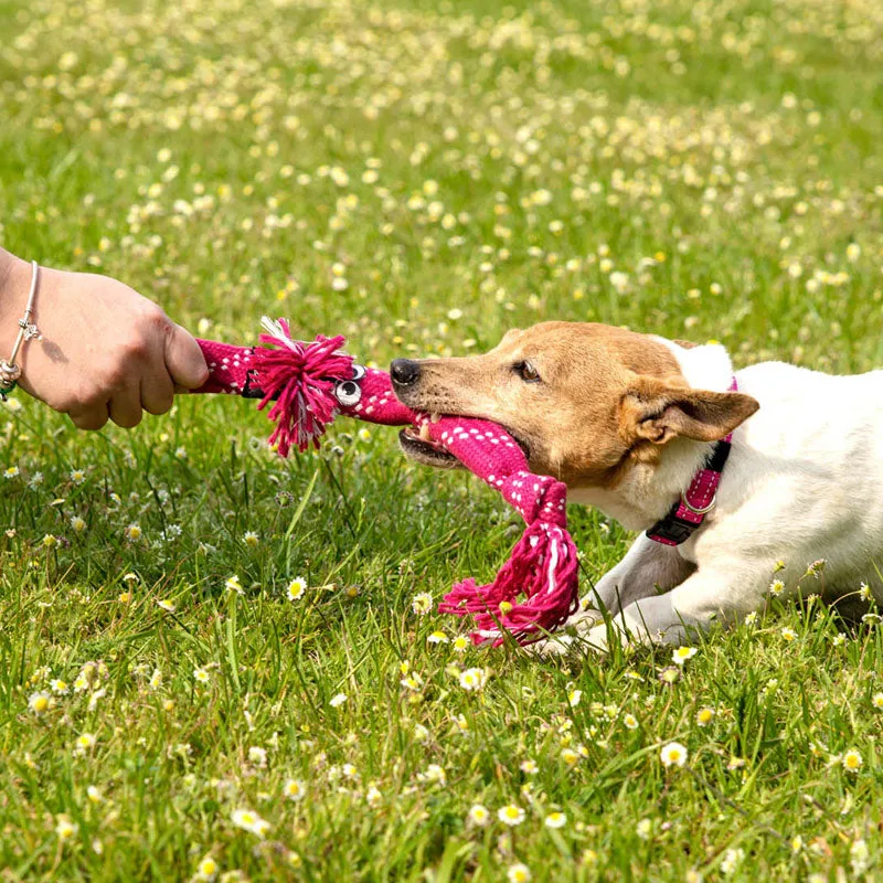 ROGZ - Scrubz | lustiges und interaktives Spielzeug für Deinen Hund