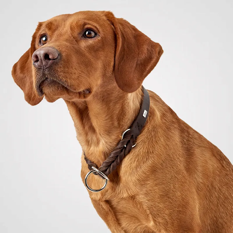 HUNTER - Solid Education | Hundehalsband mit Zugstopp