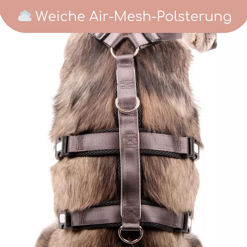 StyleSnout® Patch&Safe Sicherheitsgeschirr – ausbruchsicher & gepolstert