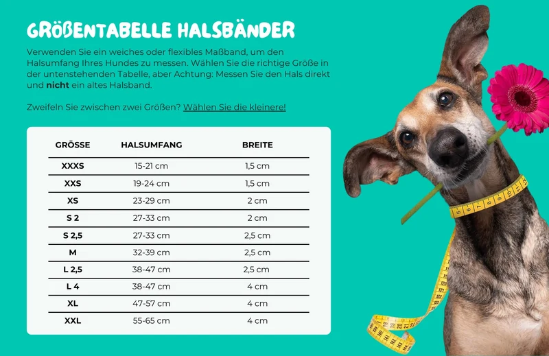 Halsband „Sweet Mae“ – handgefertigt aus Leder mit rosa Perlen