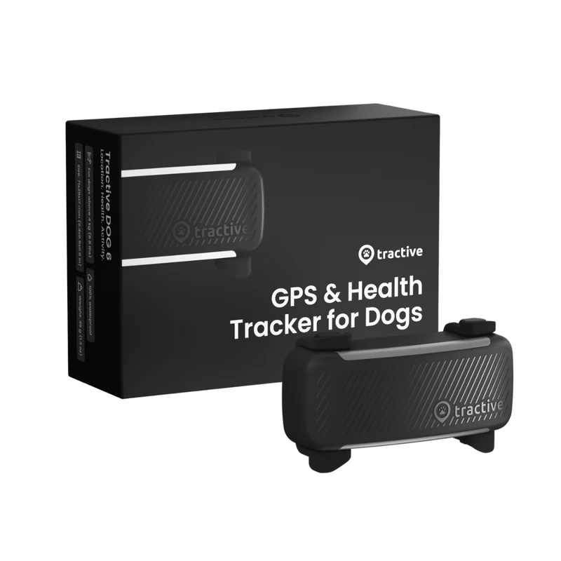 GPS Tracker Tractive Dog 6