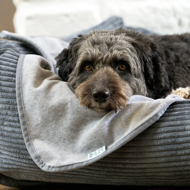 Hundebett mit Wendekissen Cozycord