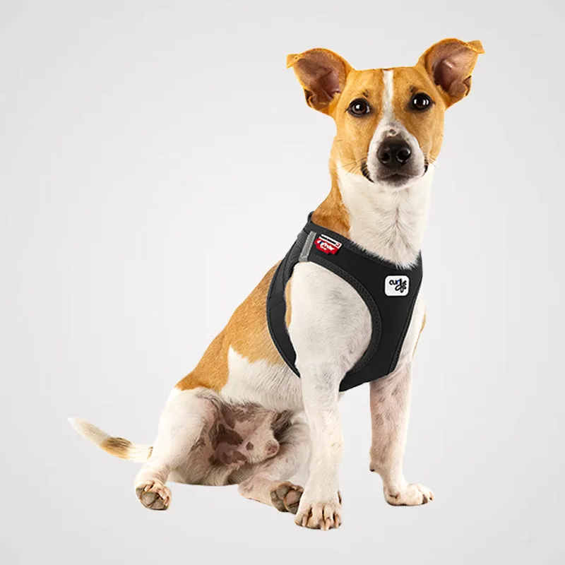 CURLI - Vest Clasp Softshell | Hundegeschirr (NEU 2022)