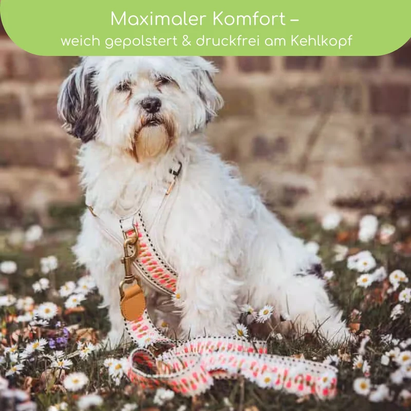 Hundegeschirr Pink/Beige – Verstellbar – Kollektion Très Chic