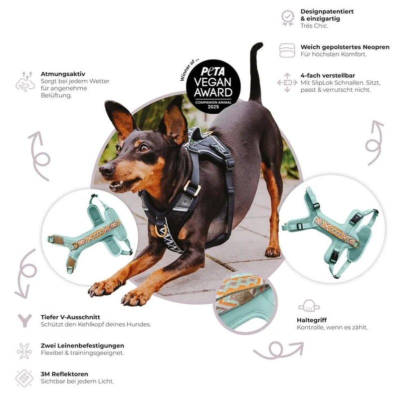 Hundegeschirr Pink/Beige – Verstellbar – Kollektion Très Chic