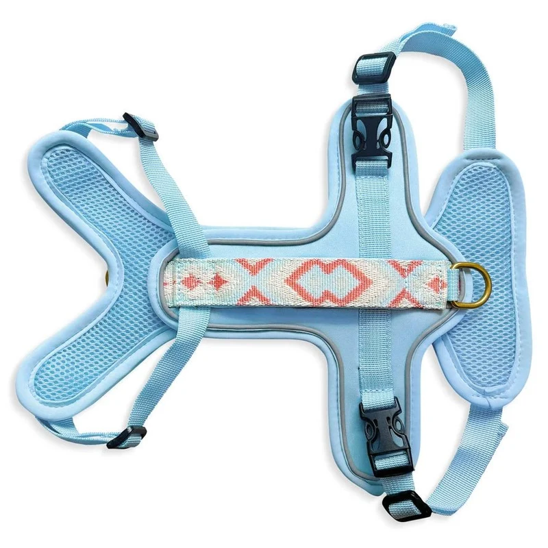 Hundegeschirr – Coral/Hellblau – Kollektion Très Chic von Hey Lana