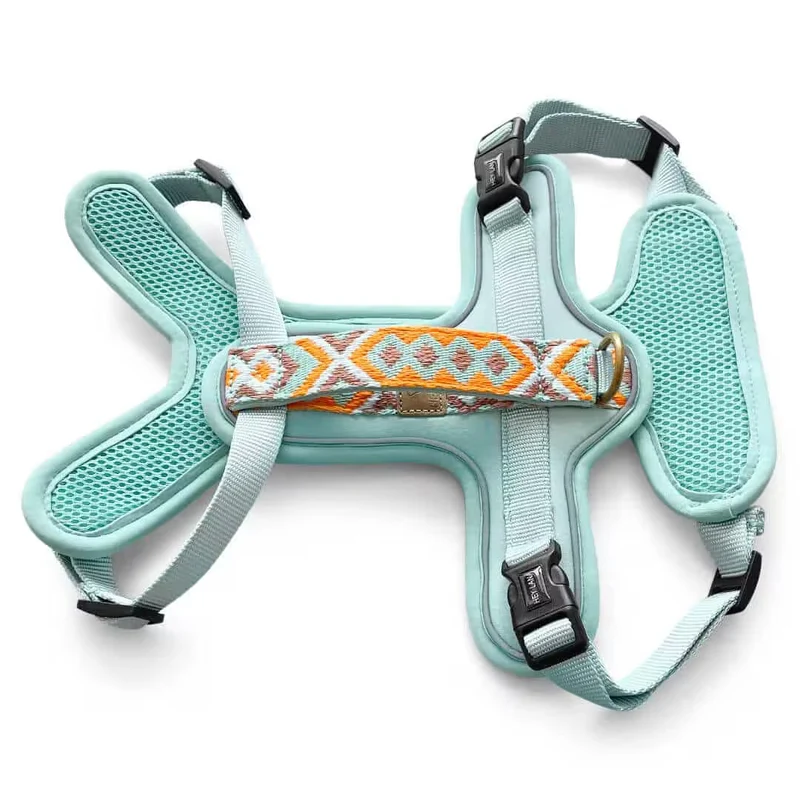 Très Chic Hundegeschirr – Komfort, Sicherheit & Stil in Perfektion Mint/Orange