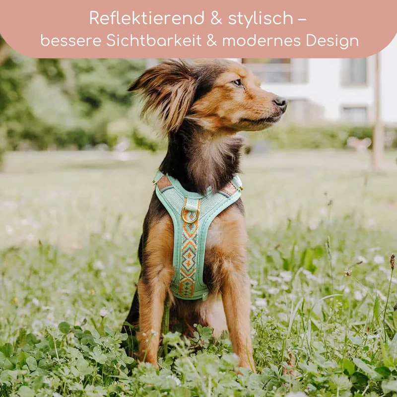 Très Chic Hundegeschirr – Komfort, Sicherheit & Stil in Perfektion Mint/Orange
