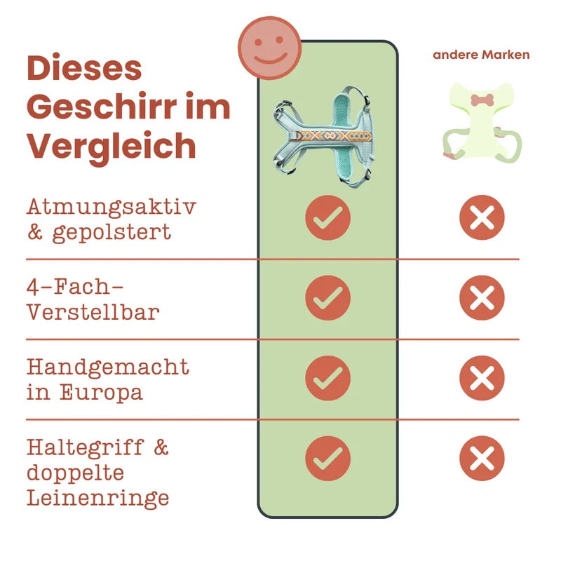Très Chic Hundegeschirr – Komfort, Sicherheit & Stil in Perfektion Mint/Orange