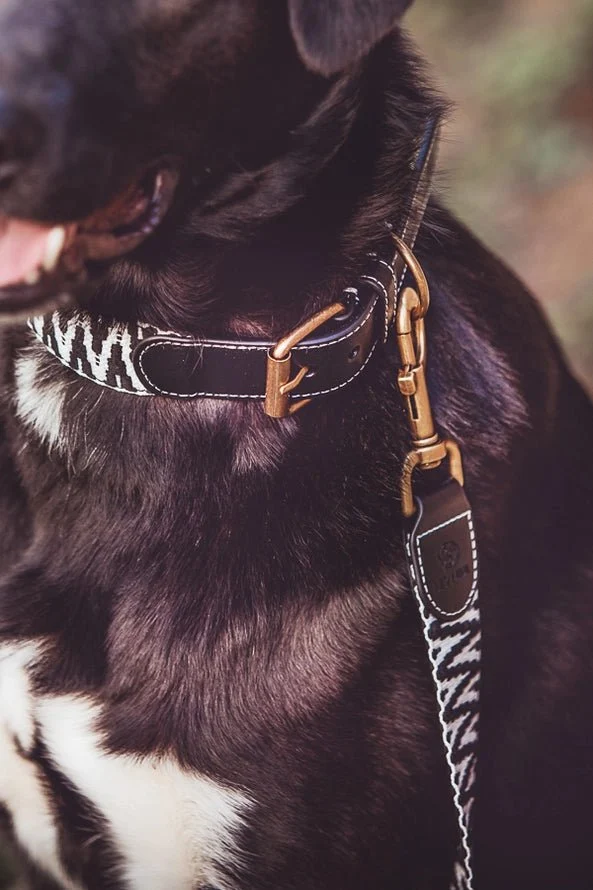 Hundehalsband – Schwarz/Weiß – Très Chic Kollektion von HeyLana