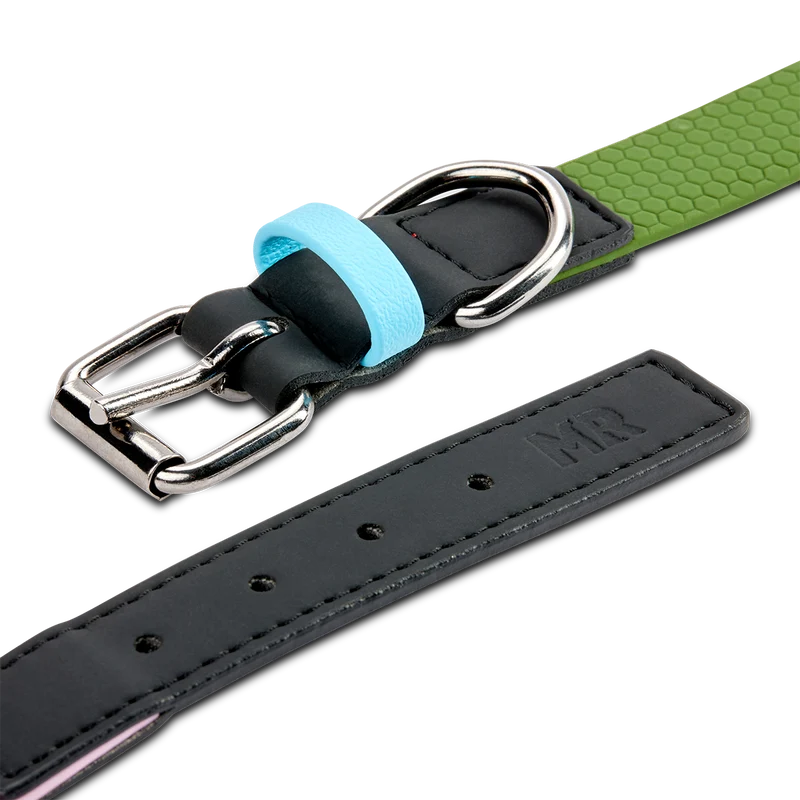 Hundehalsband mit veganem Apfelleder Khaki
