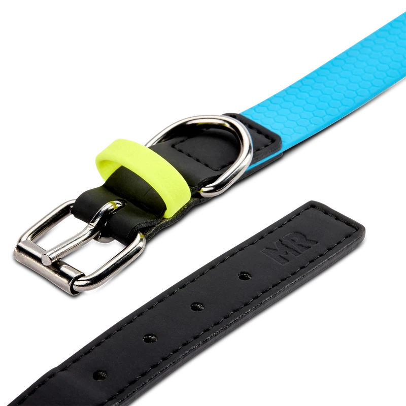 Hundehalsband mit veganem Apfelleder Cyanblau