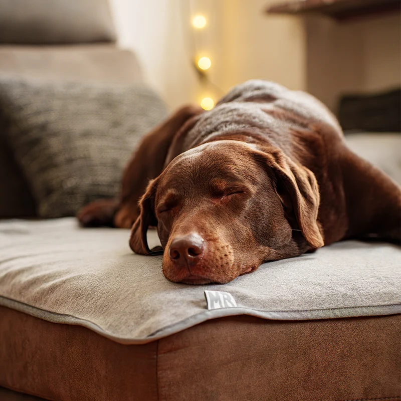 Hundekuscheldecke Fleece