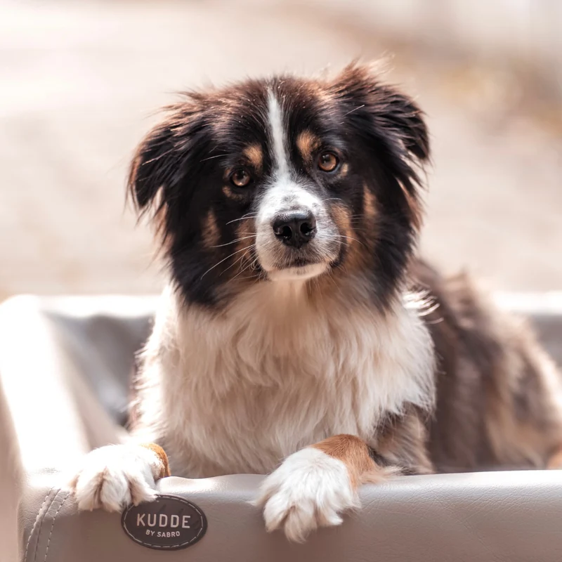 Hundebett KUDDE Kunstleder