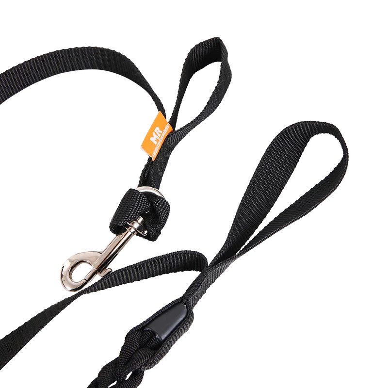 Joggingleine flexibel mit Elastikdämpfer