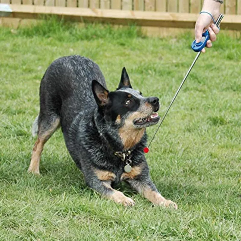 Teleskop Target Stick | Praktische Trainingshilfe im Hundetraining