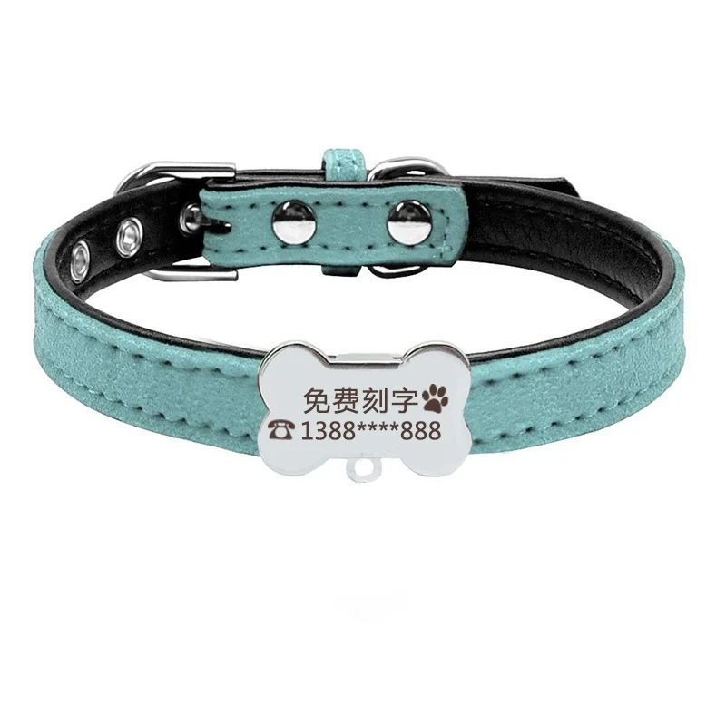 Teddy Laser Bichon Schnauzer Minlature Pinscher Collar