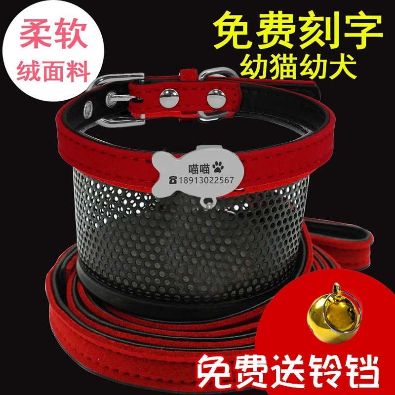 Teddy Laser Bichon Schnauzer Minlature Pinscher Collar