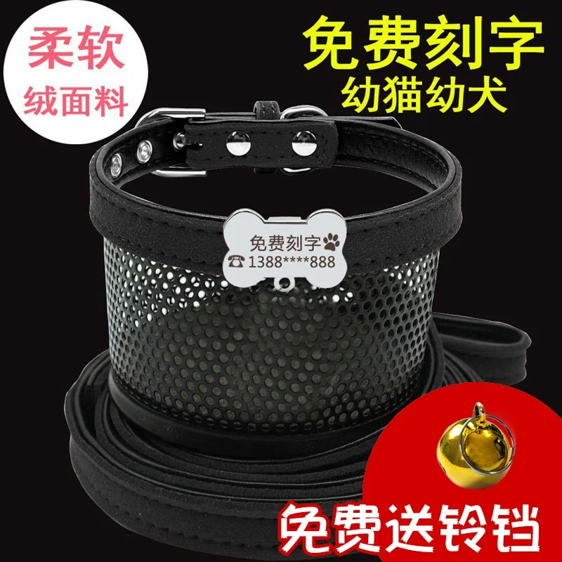 Teddy Laser Bichon Schnauzer Minlature Pinscher Collar