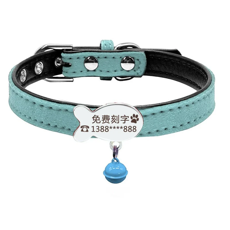Teddy Laser Bichon Schnauzer Minlature Pinscher Collar