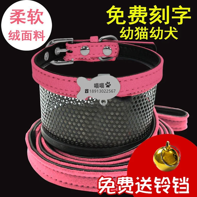 Teddy Laser Bichon Schnauzer Minlature Pinscher Collar