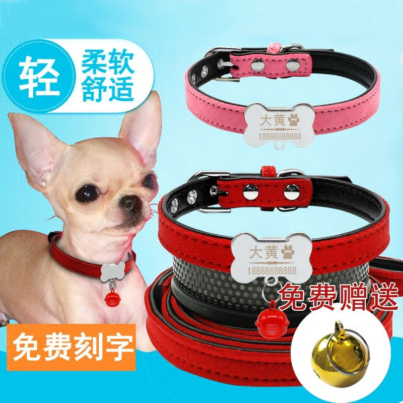 Teddy Laser Bichon Schnauzer Minlature Pinscher Collar