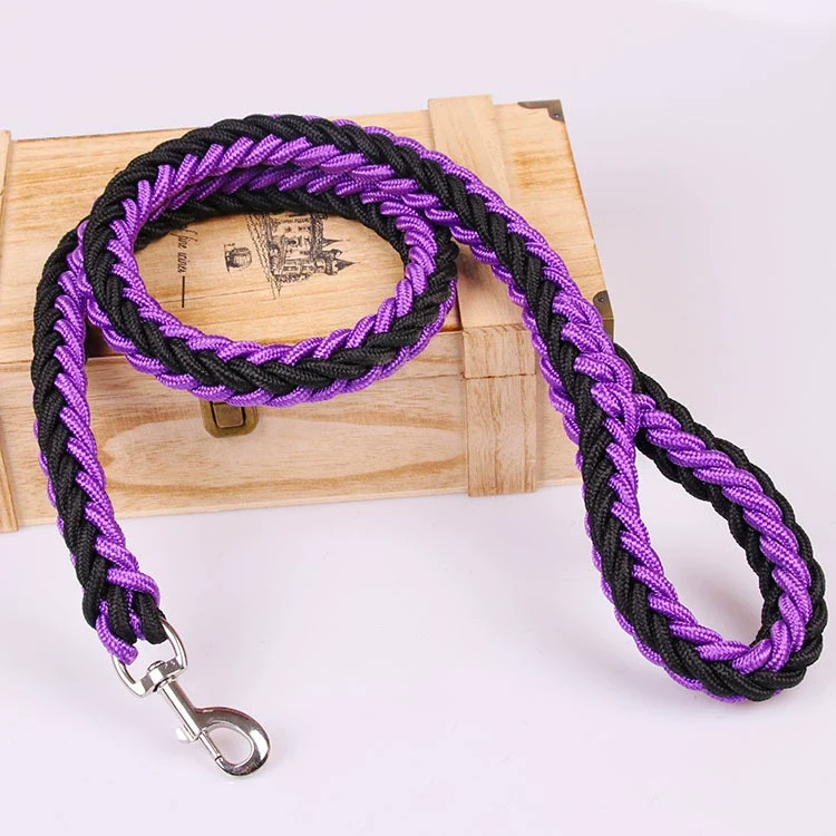 Training Professional Large Medium Small Explosion-Proof Collar Chain Dog Walking