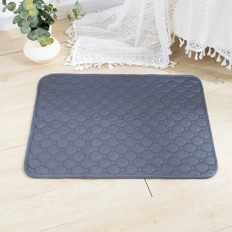 [One Piece Dropshipping] Washable Pet Overlay All Year Round Neutral Reuse Instant Water Absorption Non Slip Easy to Dry