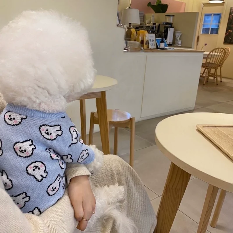 Cool Cardigan Sweater Puppy Clothes Spring and Autumn Pet Teddy Small Size Dogs Bichon Cat Cute Internet Celebrity
