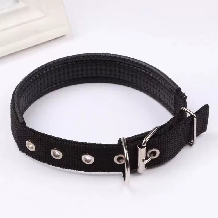 Dog Luminous Collar Dog Luminous Dog Collar Collar Pet Night Light Fluorescent Dog Reflective for Walking Dog at Night