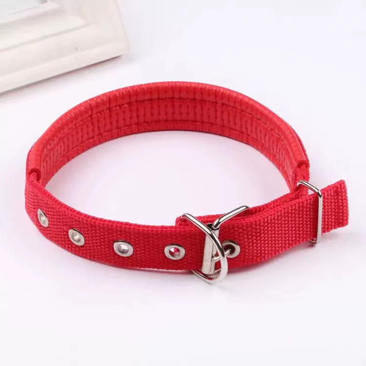 Dog Luminous Collar Dog Luminous Dog Collar Collar Pet Night Light Fluorescent Dog Reflective for Walking Dog at Night