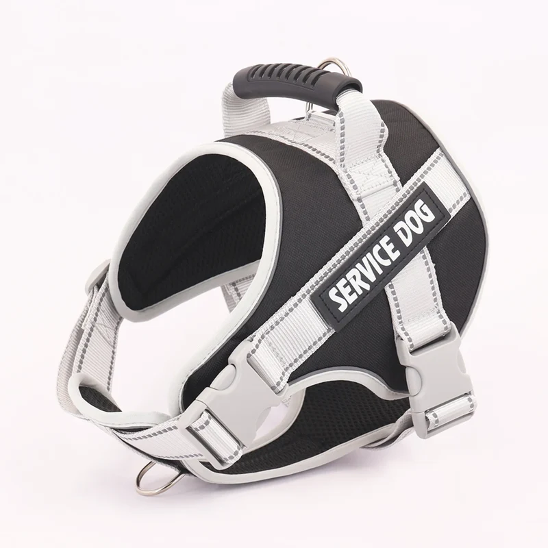 1pc Letter Graphic Reflective Pet Harness, For Dog For Outdoor