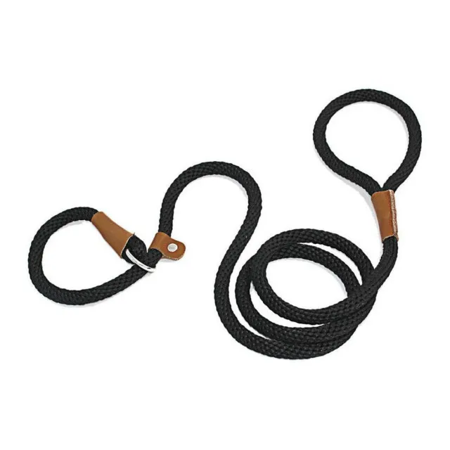 P Chain Durable Nylon Slip Rope Dog Leash Collar 2 In 1 Adjustable Loop Collar Comfortable Meidum Large Pet Harness Leash