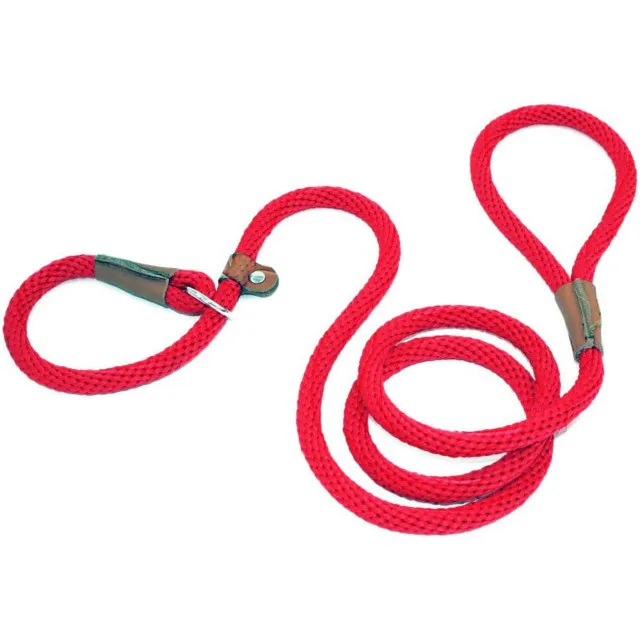 P Chain Durable Nylon Slip Rope Dog Leash Collar 2 In 1 Adjustable Loop Collar Comfortable Meidum Large Pet Harness Leash