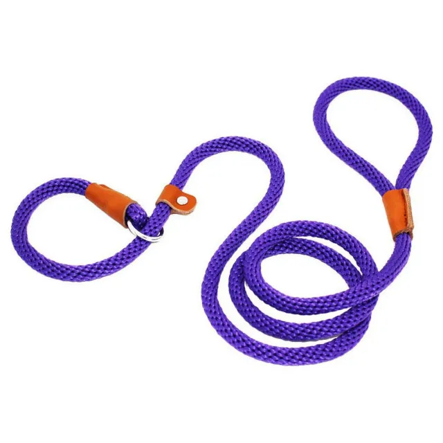 P Chain Durable Nylon Slip Rope Dog Leash Collar 2 In 1 Adjustable Loop Collar Comfortable Meidum Large Pet Harness Leash