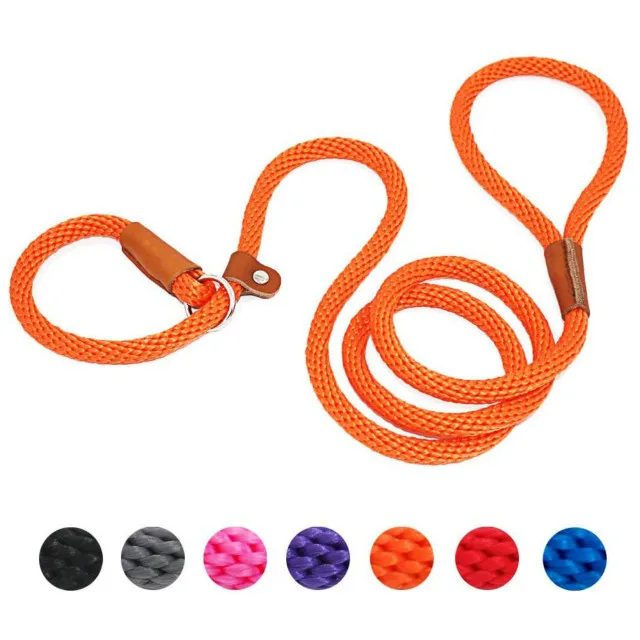 P Chain Durable Nylon Slip Rope Dog Leash Collar 2 In 1 Adjustable Loop Collar Comfortable Meidum Large Pet Harness Leash