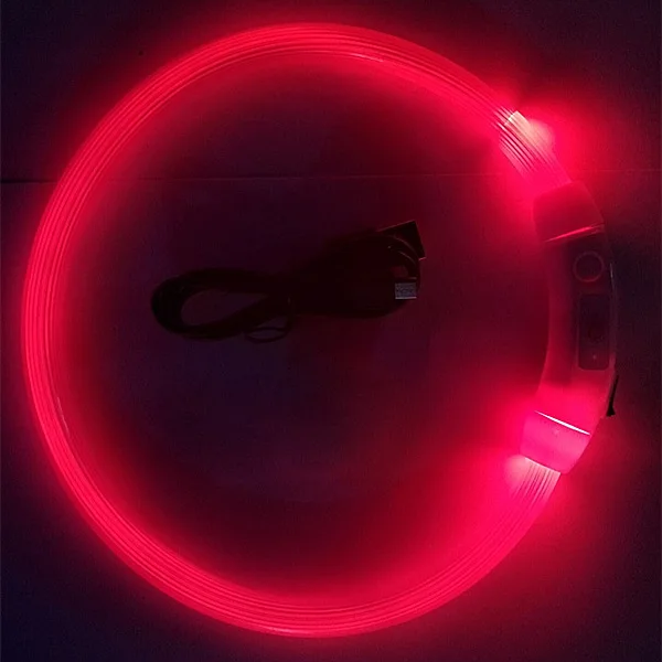 LED Glowing Dog Collar Flashing Rechargea Luminous Collar Night Anti-Lost Dog Light HarnessFor Puppy Pet Products