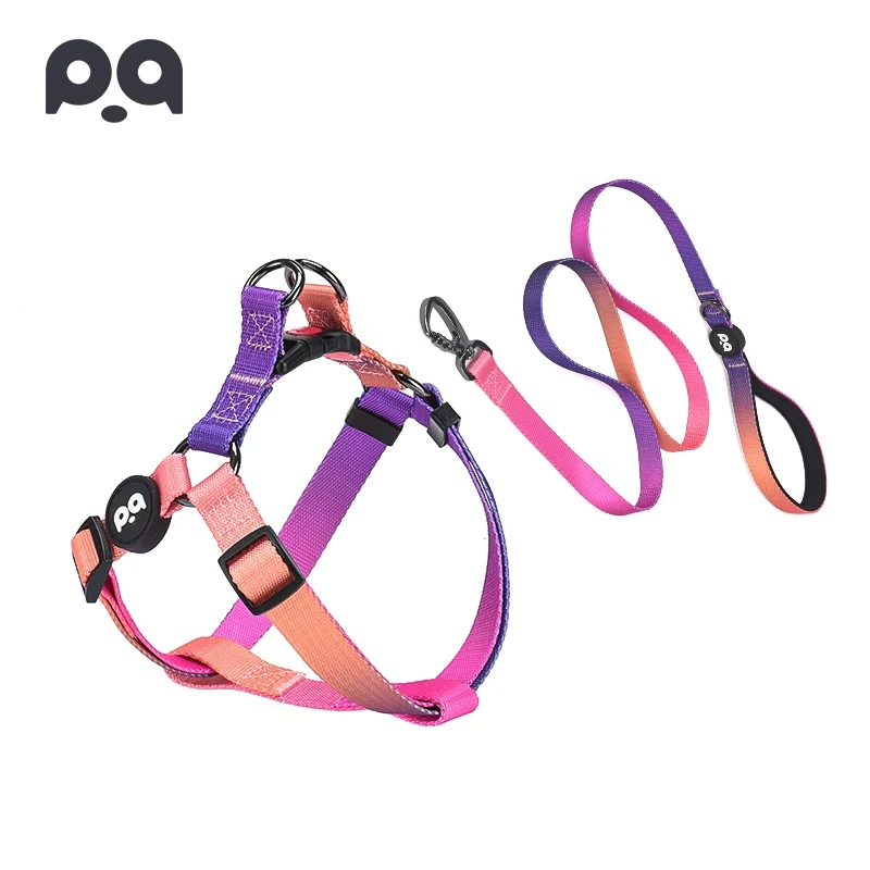 Fiber Pet Supplies Dog Collar Hand Holding Rope Teddy Dog Leash Jarre Aero Bull Corgi Small and Medium-Sized Dogs Dog Leash Traction Belt