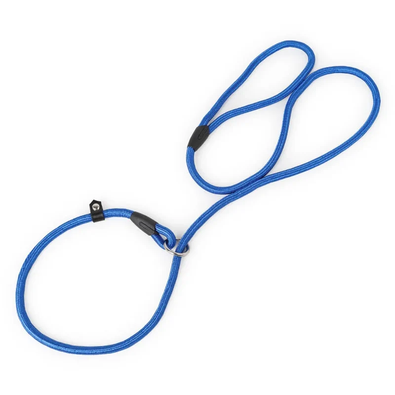 Pet Puppy Dog Leash Slip Rope Lead Leash Nylon Slip Chains Collar No Pull Training Lead Leashes for Small Dogs Black Red Blue
