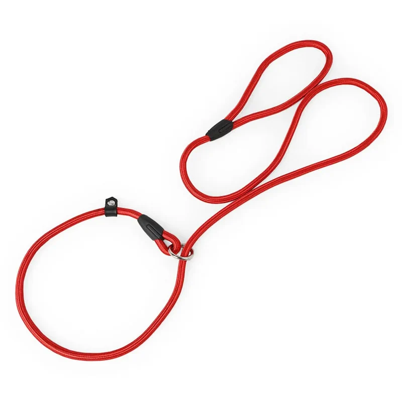 Pet Puppy Dog Leash Slip Rope Lead Leash Nylon Slip Chains Collar No Pull Training Lead Leashes for Small Dogs Black Red Blue
