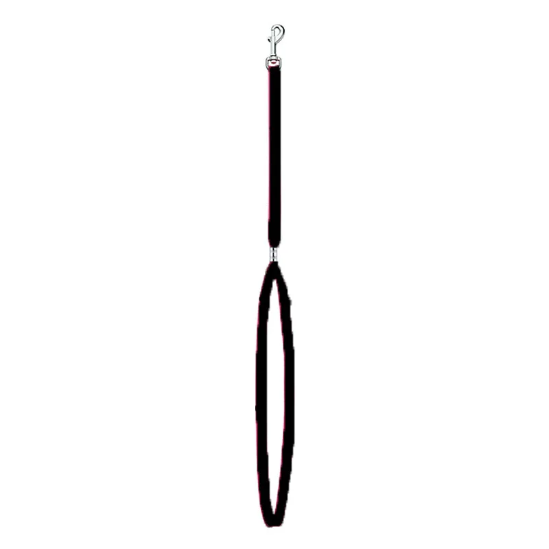 Dog Collar Pet Grooming Loops Safety Rope Leash Leads Dog Accessories Nylon Restraint Noose Solid Color Pet Supplies Adjustable