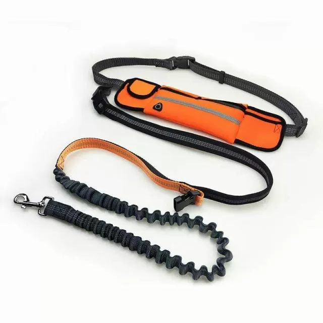 Running Hand Holding Rope Pet Dog Hand Holding Rope Running Sling Dog Running Hand Holding Rope Lace-up Waist Elastic Running Sling