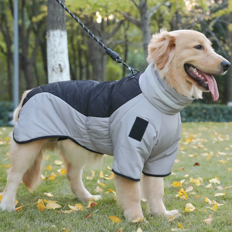 Dog Clothes Autumn and Winter Clothes Medium Large Dog Corgi Golden Retriever Puppy Special Winter Heattech Thick down Jacket Cotton-Padded Clothes