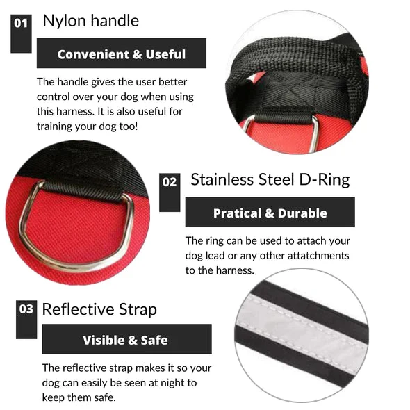 Custom Anti-Choke Dog Harness
