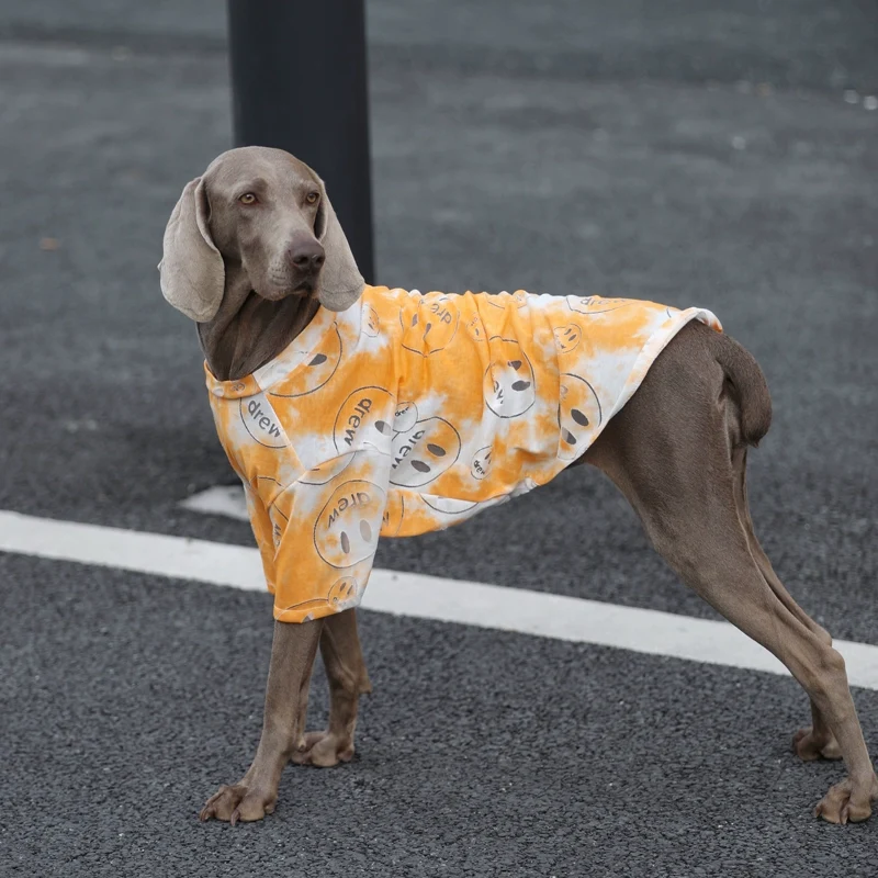Dog Dog Clothes Large Dog Summer Sun Protection Pet Clothes Golden Retriever/Border Collie Labrador Breathable Internet Celebrity Dog Clothes
