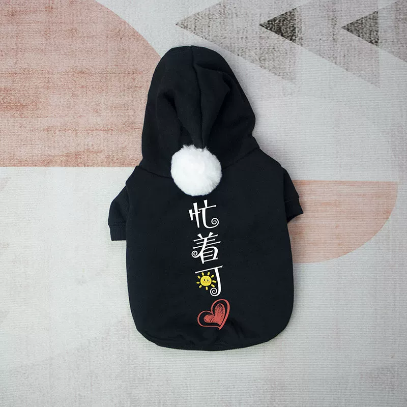 Pet Clothes Big Sale Autumn and Winter Thin Velvet Hooded Two-Leg Sweater Cat Teddy Bichon Jarre Aero Bull Small and Medium-Sized Dogs Dog