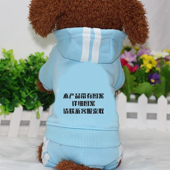 Teddy Pet Costume Small Dog Cotton-Padded Clothes for Autumn and Winter Totoro