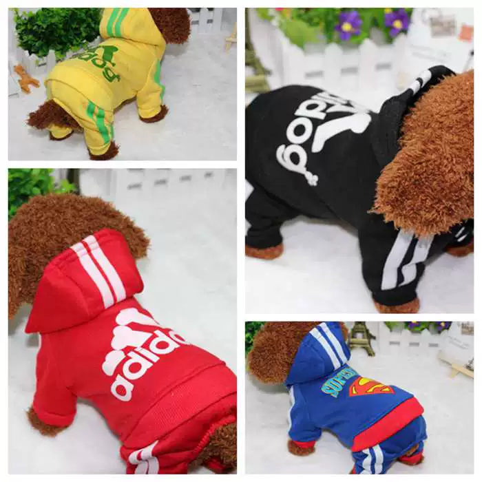 Teddy Pet Costume Small Dog Cotton-Padded Clothes for Autumn and Winter Totoro