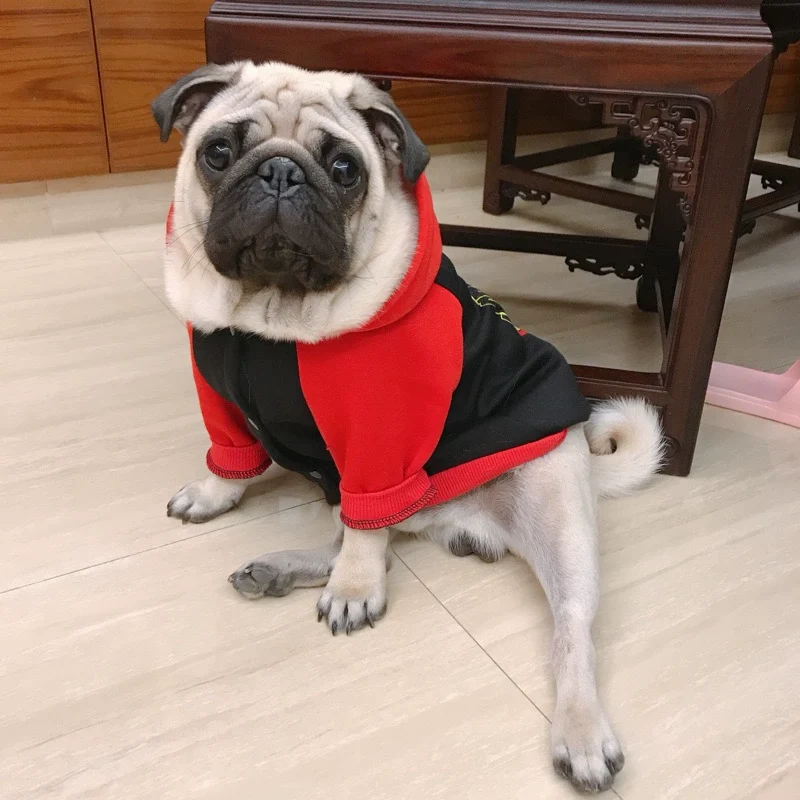Pug Small and Medium-Sized Dogs Hoodie Fleece Jarre Aero Bull